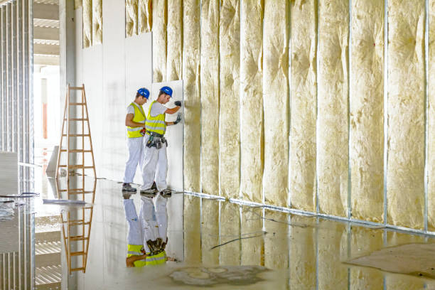 Best Specialized Insulation Services in Granger, TX